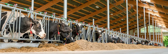 Landwirtschaftliche Beschichtungs- und Sanierungsarbeiten